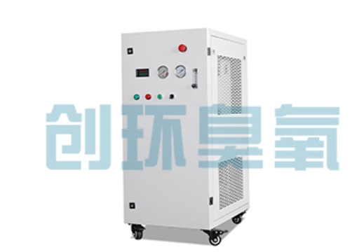宣化石斑鱼养殖水质调控完整指南:臭氧发生器配置与操作步骤