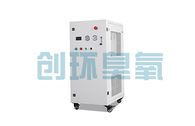 宣化比传统换水更高效?臭氧发生器在石斑鱼养殖中的水质净化原理解析